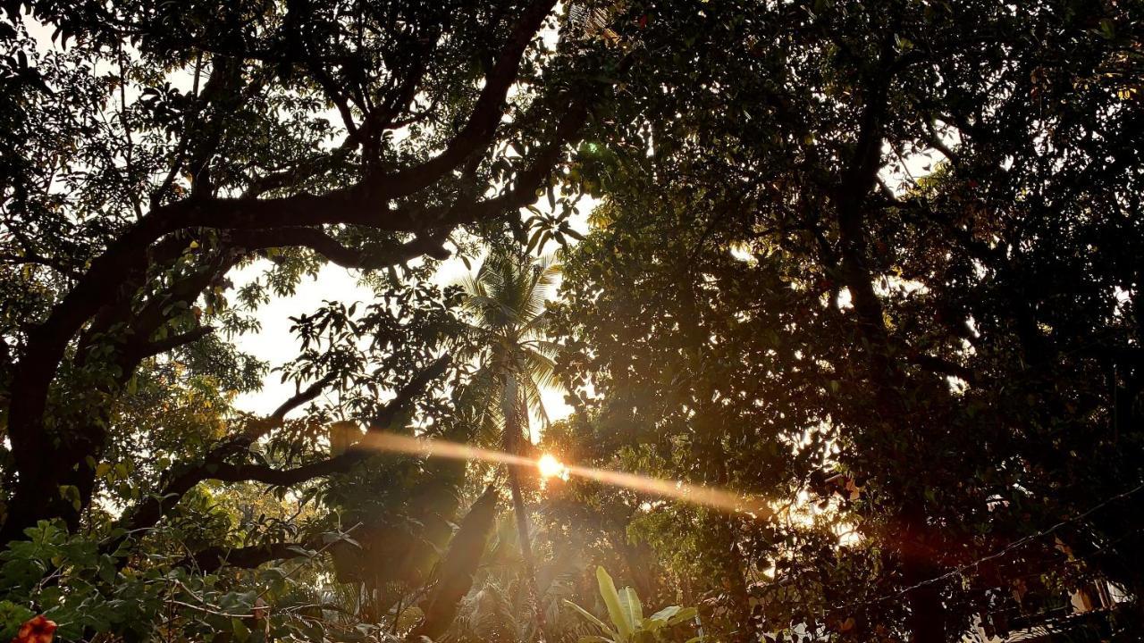 Stan-Inn, North Goa, Vagator, With Strong Wifi,Free Private Parking & Kitchen, Can Cook Where You Stay ภายนอก รูปภาพ