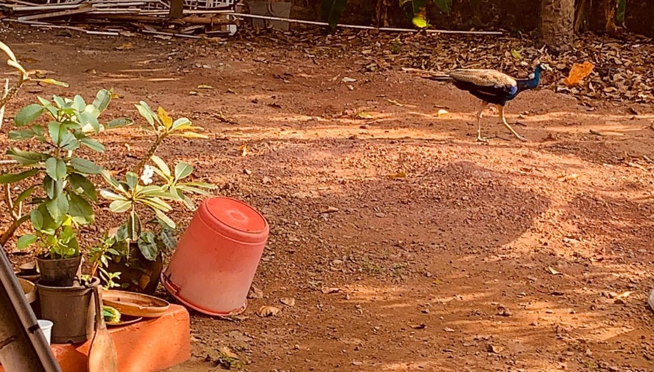 Stan-Inn, North Goa, Vagator, With Strong Wifi,Free Private Parking & Kitchen, Can Cook Where You Stay ภายนอก รูปภาพ