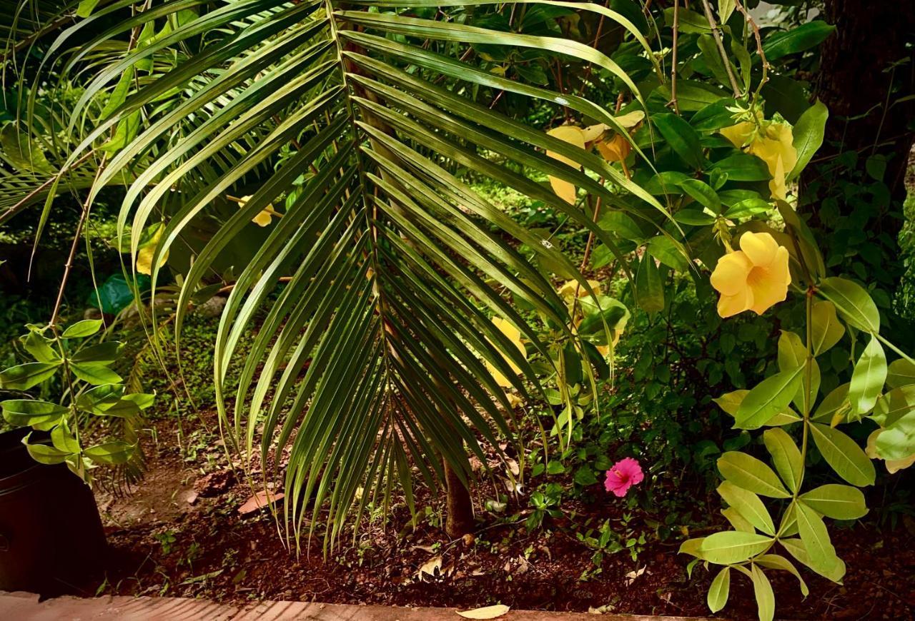 Stan-Inn, North Goa, Vagator, With Strong Wifi,Free Private Parking & Kitchen, Can Cook Where You Stay ภายนอก รูปภาพ
